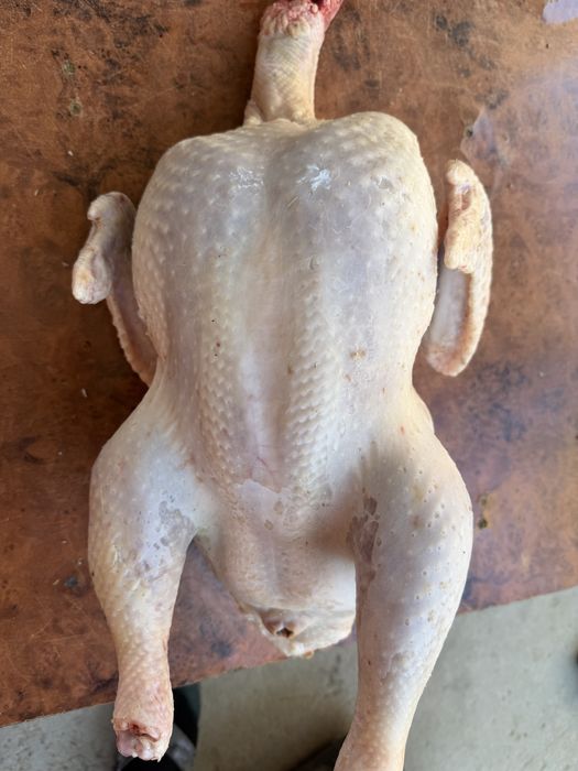 Мясо индюка тушка
