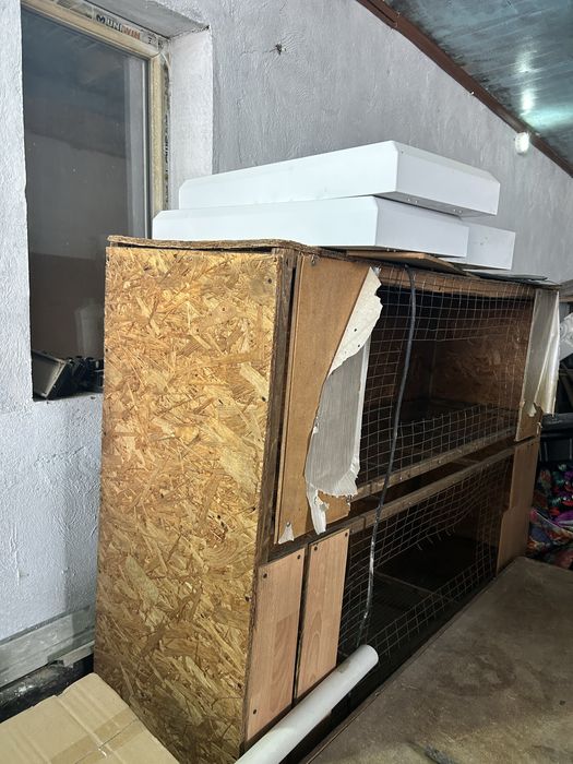 Брудер для цыплят