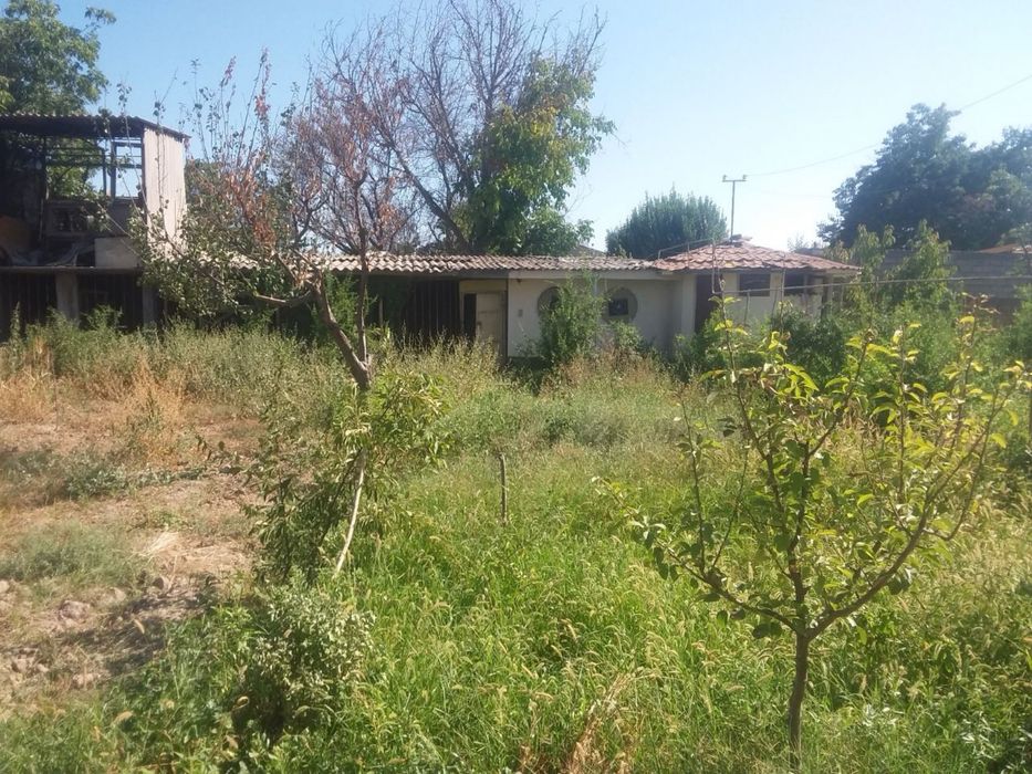 Erkin postidan 4-5 km kirganda yer narxida pul zaril