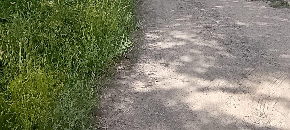 Продам земля поселок белбулак