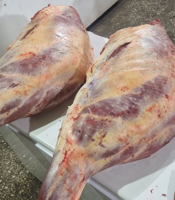 Продаю Задки ( Сан ) Конины