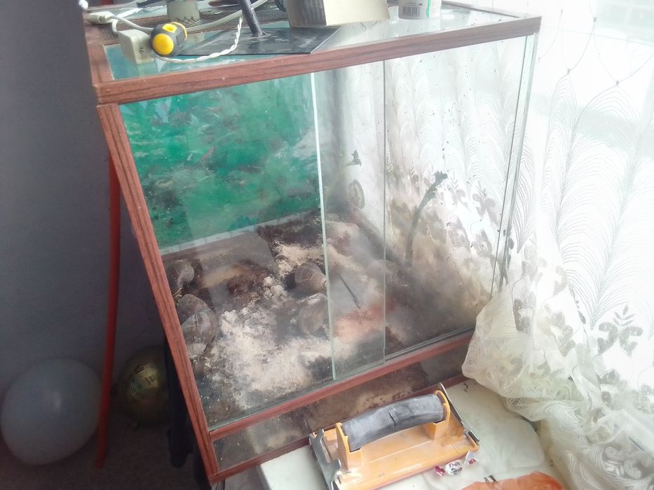 Продаю террариум