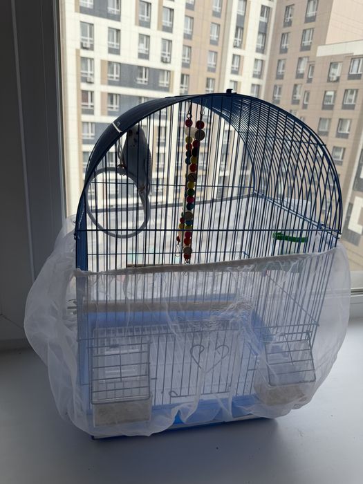 Продам попугаяс клеткой