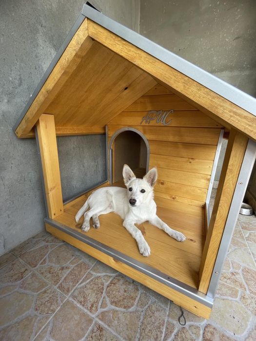 Кучешки къщи, къща за куче