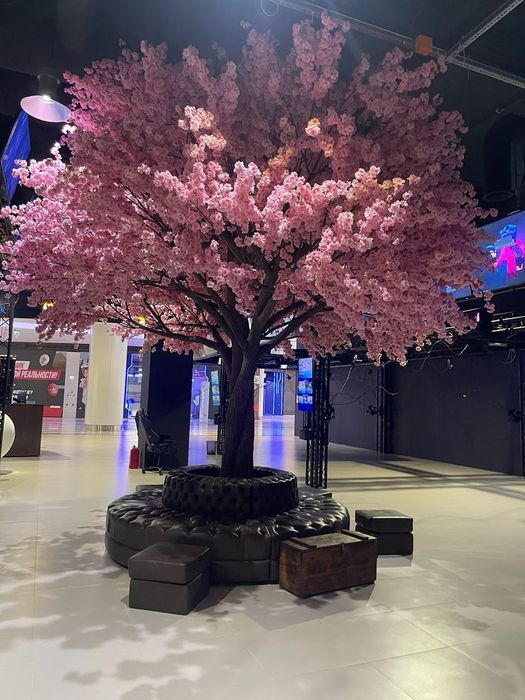 Дерева сакура yasab beramiz