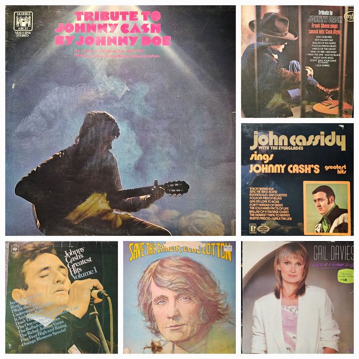 Discuri vinil (vinyl) muzică country