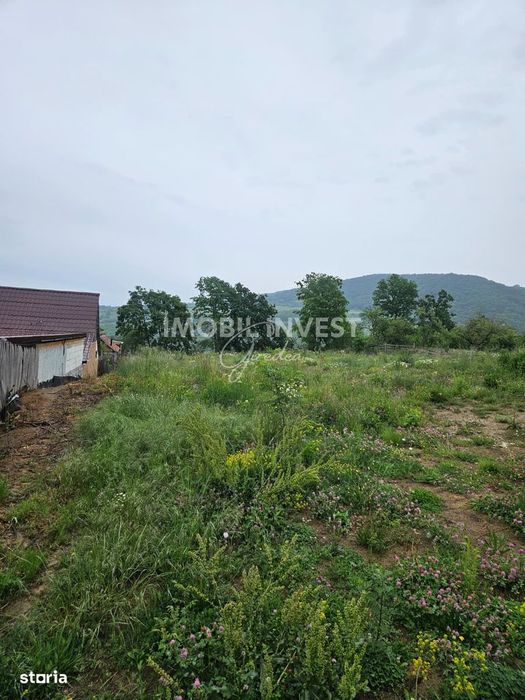 Teren pentru constructie casa P+E+M, 2 parcele, Pianu de Sus