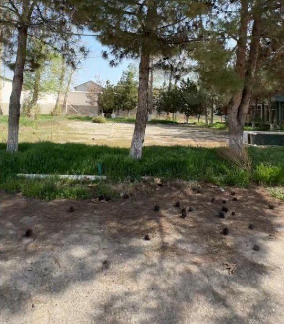 Продаётся производственная база