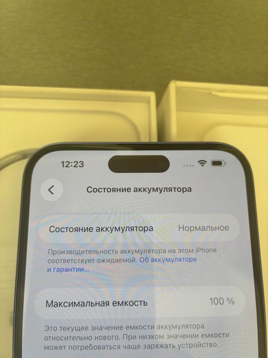 iPhone 16 Plus 128 gb 100%