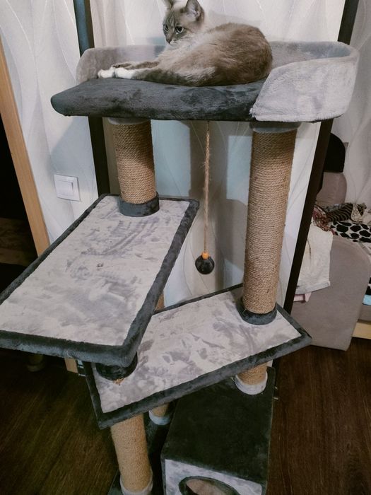 Домик для кошки.