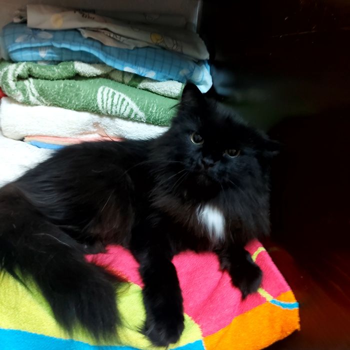 Красотка ищет своего человека