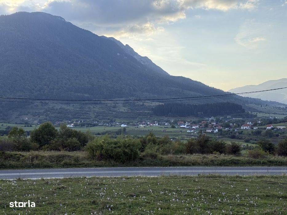 Teren intravilan 500 sau 1000 mp Bran-Tohanita la dum asfaltat