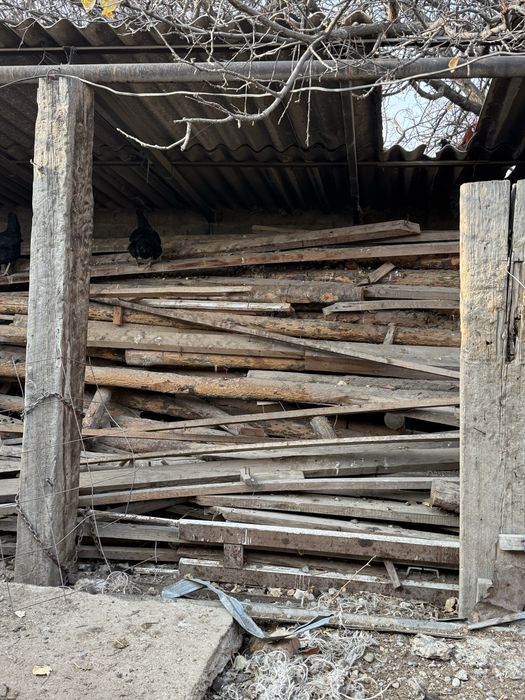 Дерево-Агаш уйдынкы