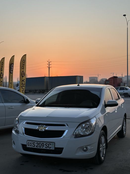 Cobalt 4-poz style avtomat