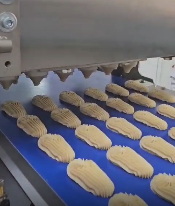 Отсадочная машина для печенья два бункера