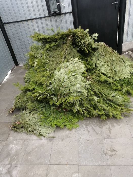 Масло пихтовое пихтовое