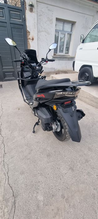 Tiger skuter sotiladi