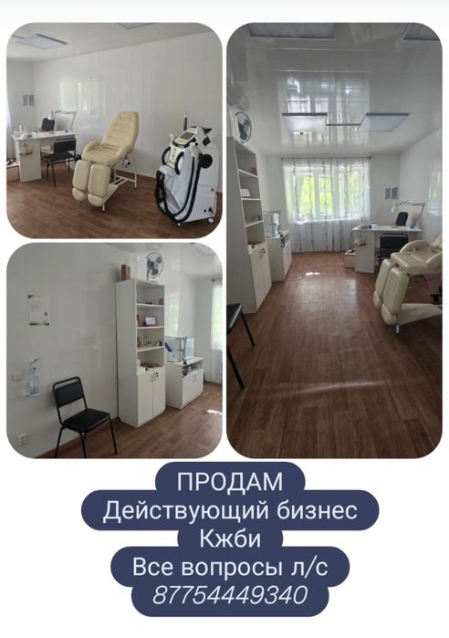 Действующий бизнес