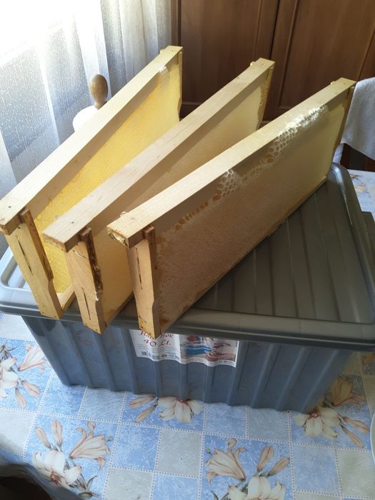 Билков мед на пита