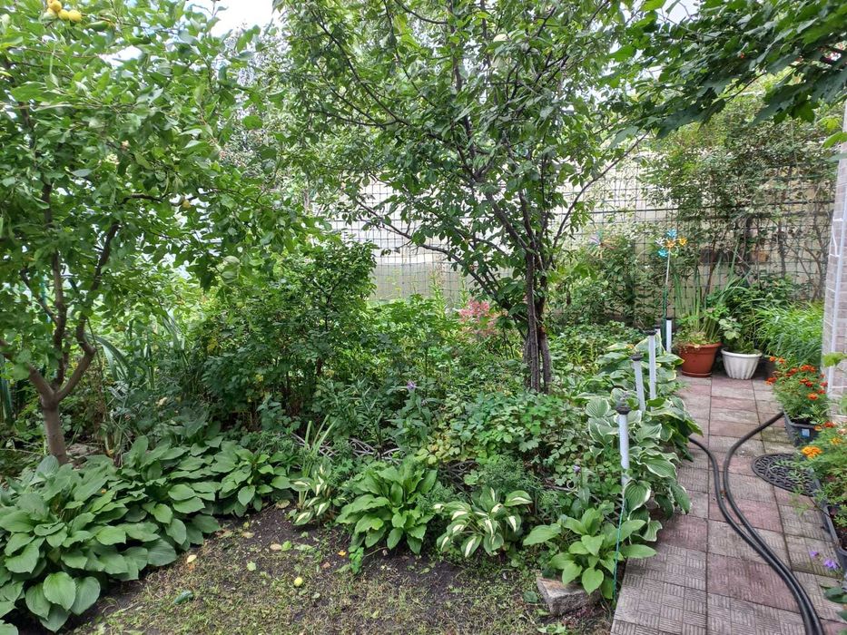 Продам дачу С/О "Восток"