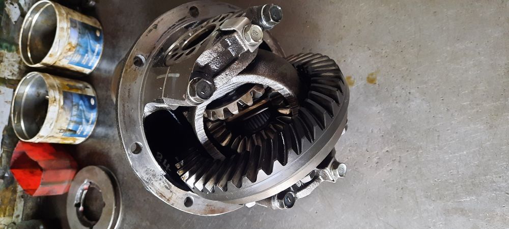 Zadnimos bor damas labo garantiyali