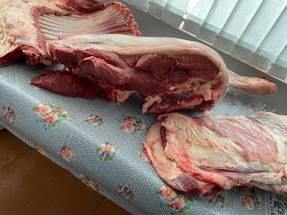 Продам мясо конина.