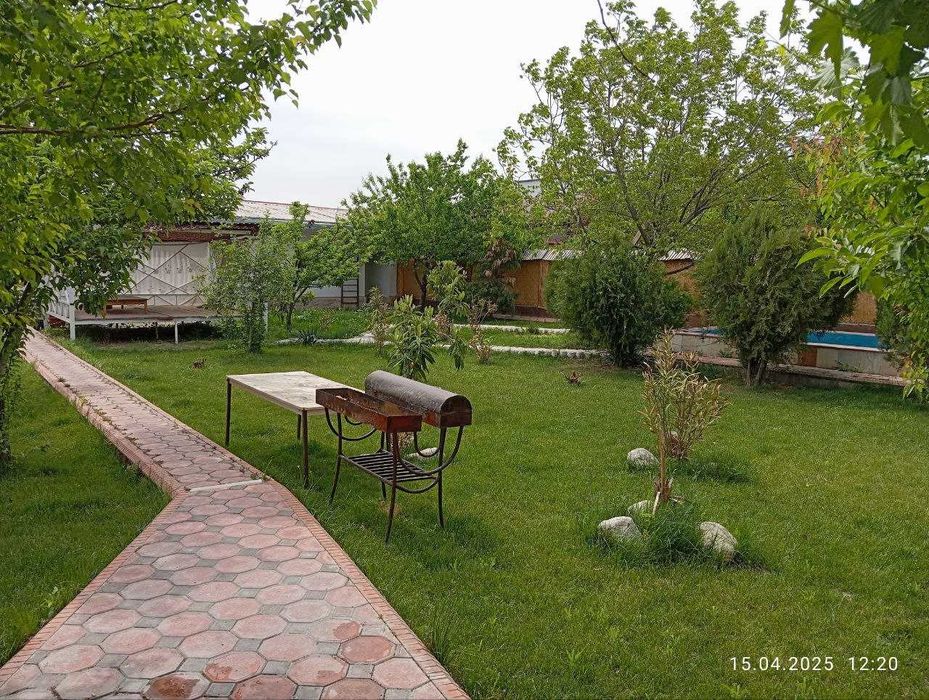 Katta Dacha № 1. 1-Apreldan 25-maygacha 50% skidkada.