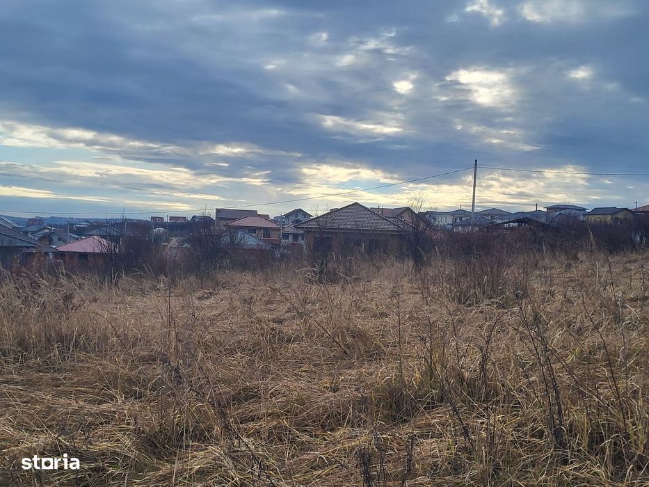 2380 mp teren in Paleu, strada Teiului