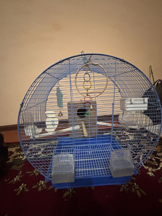 Продам клетку для птиц все необходимое есть.