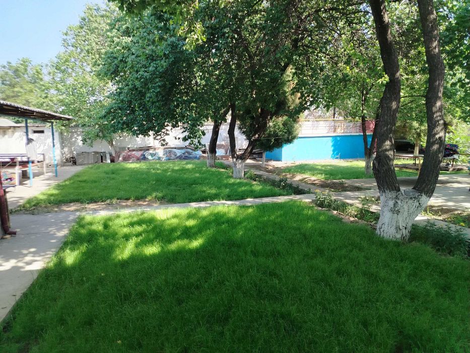 Ховлимиз сотилади.  Рохат постидан 12км Ўртасарой (Қорасув дарёси)