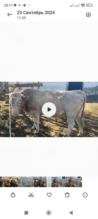 Куан ерназ Мураткалиулы