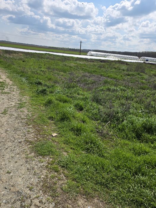 Loturi teren Zătun – deschidere la șosea | lângă Dunăre | poziție premium