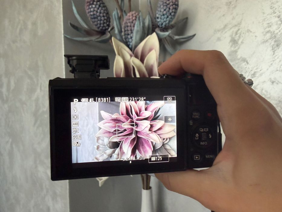 Canon powershot g7x mark II