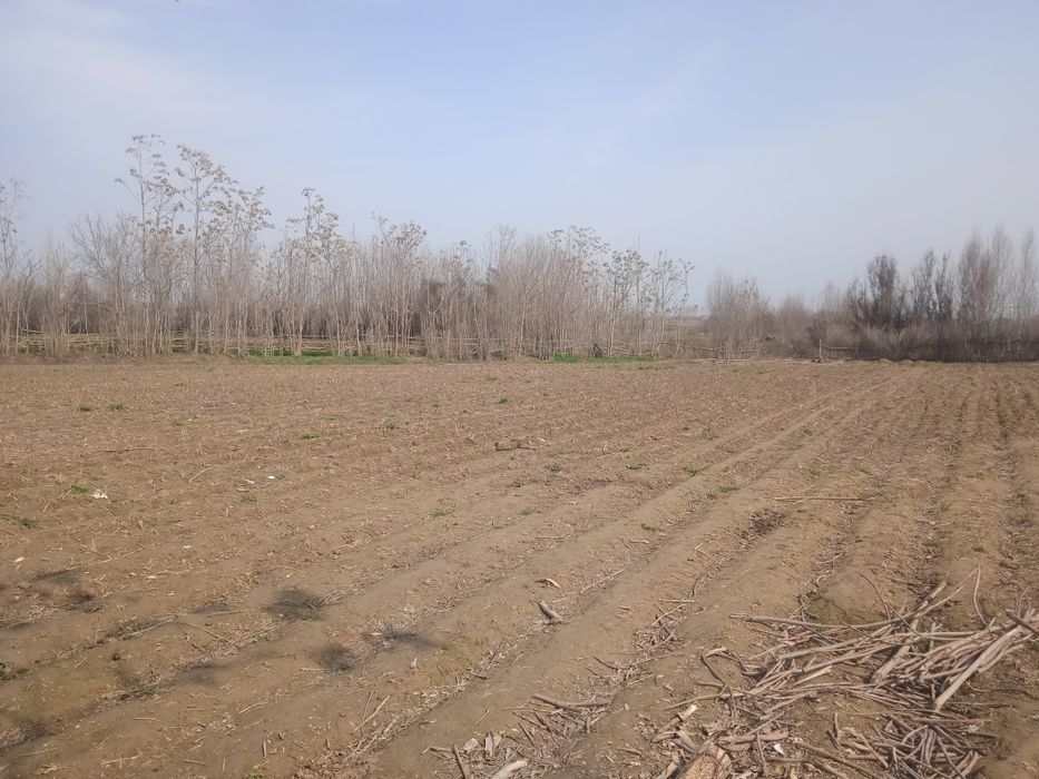 Тошккент вил Buka tumani МФИ Худаихул маххалла хоким қарори кадастр бо