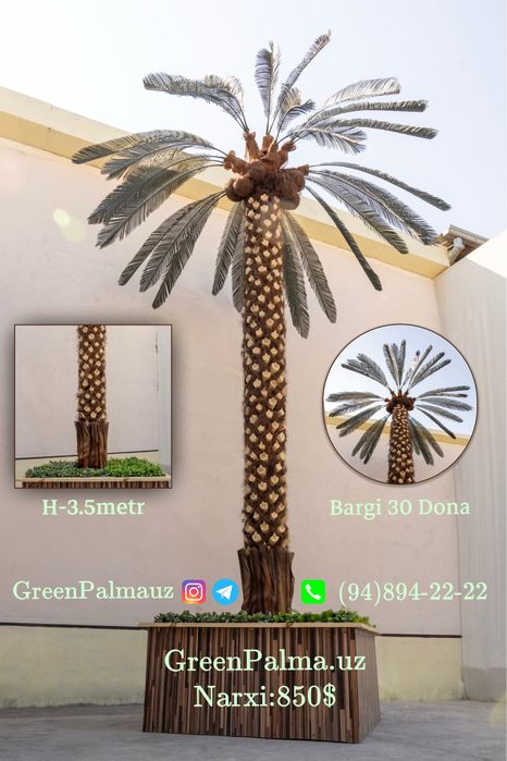 Palma Пальма  GreenPalmauz