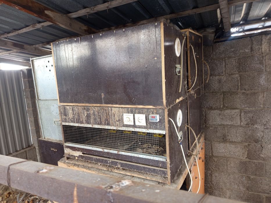 Брудер б/у для цыплят