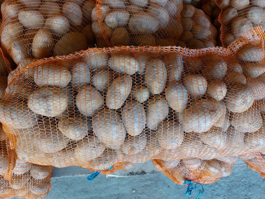 Cartofi albi de consum