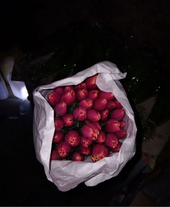 Тюльпаны для ваших близких