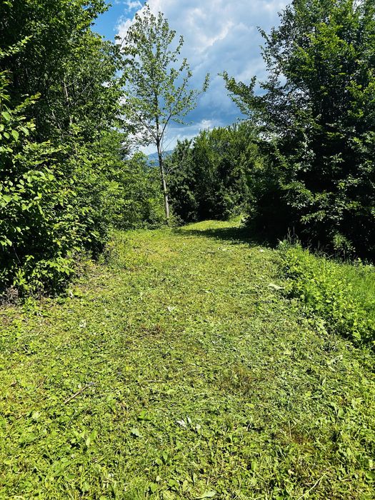Teren intravilan de vânzare – Poiana Câmpina, Prahova | 1357 mp | Lângă pădure