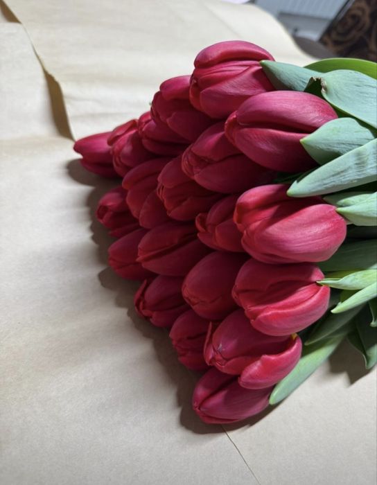 Тюльпаны оптом и в розницу