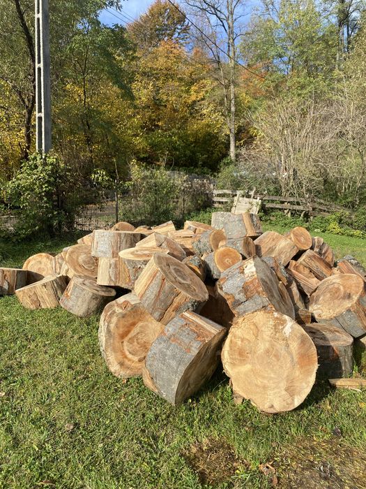 Lemn de foc - fag esența tare, taiate si crepate la cerere