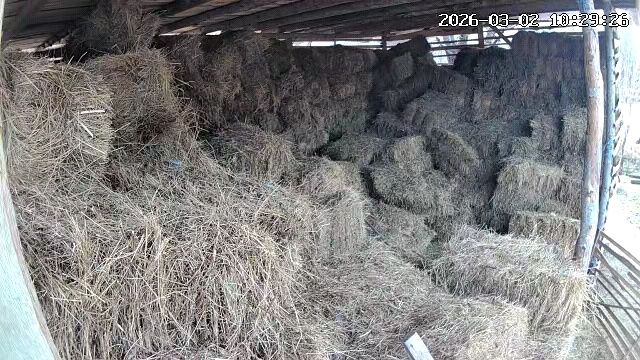 Baloti de fan 14 lei bucata