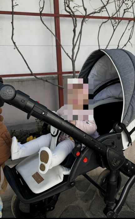 Caricior Krausman 3in 1