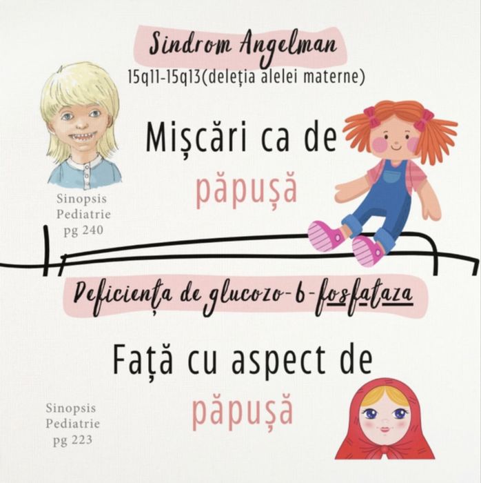 Flashcarduri Asocieri&diferențeRezibrain  rezidentist