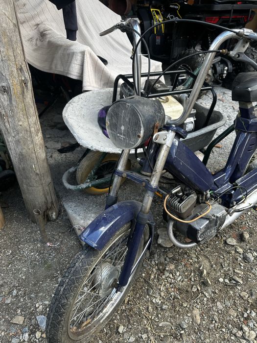 Moped gareli vip
