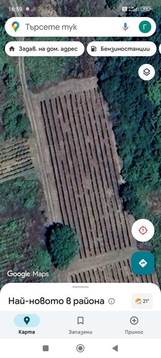 2.3 дка. лозе в Капитан Андреево