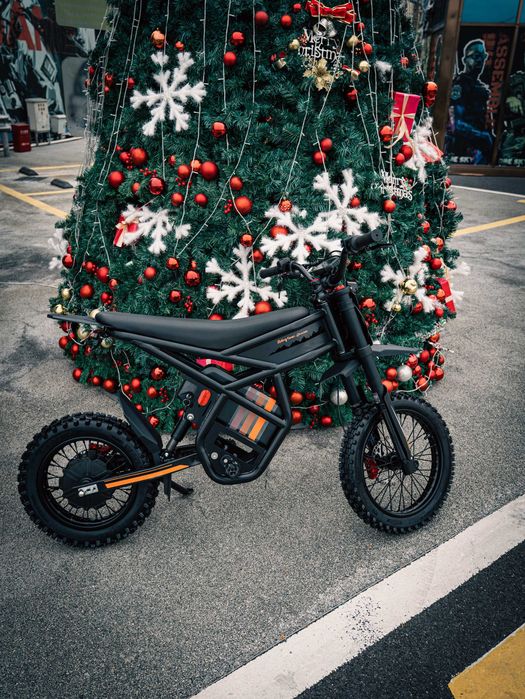 Motocicletă Electrică Enduro Tip Sur-Ron | Riding Times GT54 PRO