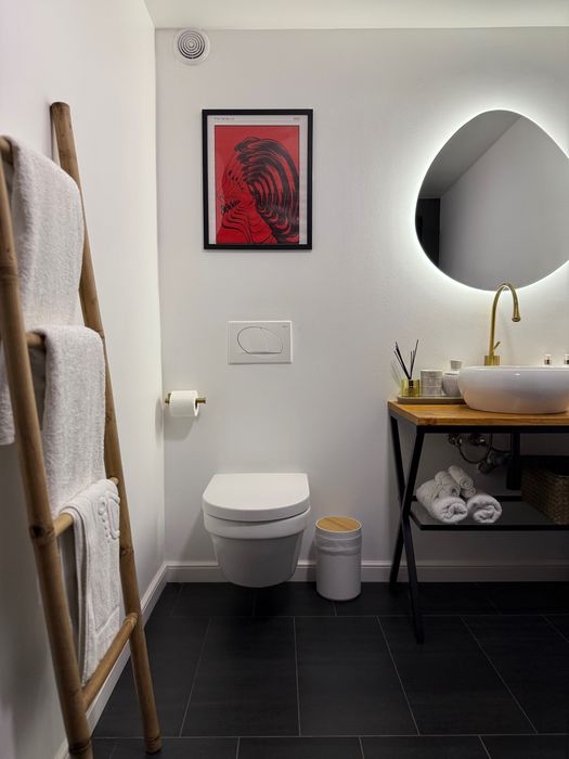Romantic Loft cu grădină privată – cazare în Baia Mare
