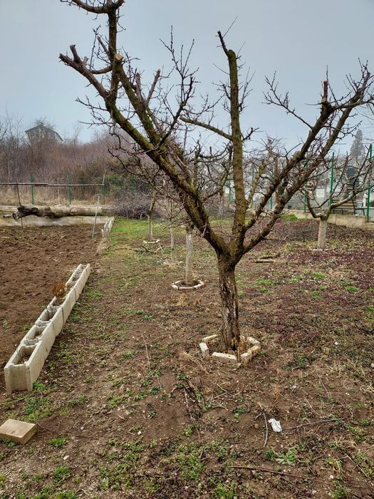 Vând casă în Alba Iulia
