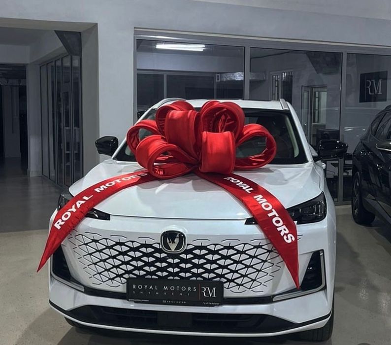 Авто бант с логотипом в авто салон